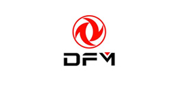 DFM